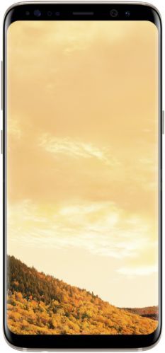 Samsung Galaxy S8 Exynos Dual